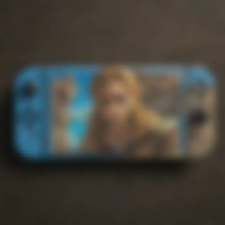 Customizable features of the Breath of the Wild Switch case displayed