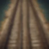 Illustration of intricate network of train tracks on a historical map