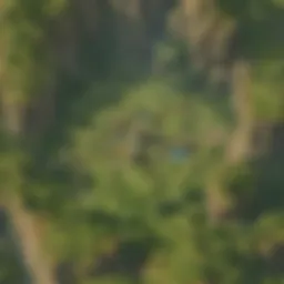 A detailed map of Hyrule showcasing various regions and landmarks