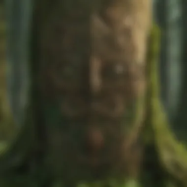 Enigmatic Glyphs of the Forest Mystical Symbols in the Woods