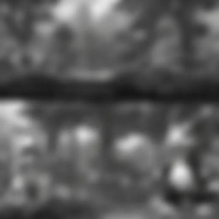 Pokémon Black and White Online Purchase Experience