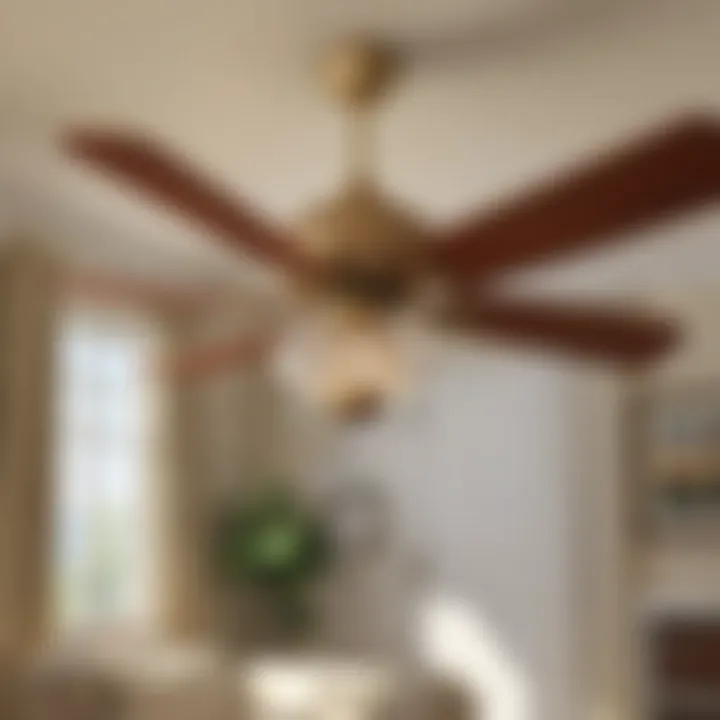 Shopping Considerations for Crystal Ceiling Fan Pulls