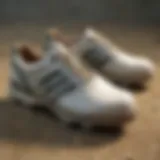 Golf shoes with fresh soft spikes