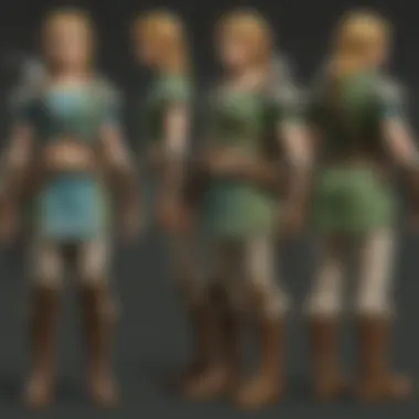 An overview of character roles throughout the Zelda series.