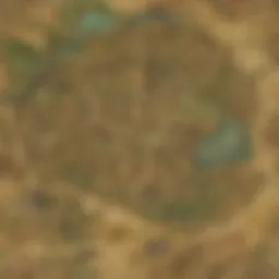 An intricate map showcasing the KU domain across various Zelda titles