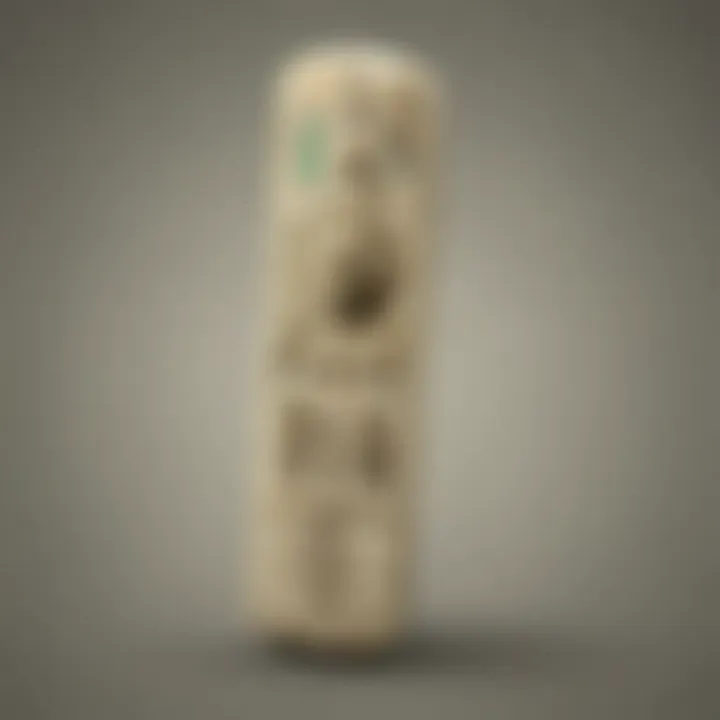 Masterful Wii Remote Control in Zelda