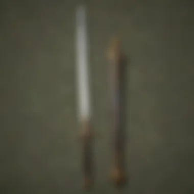 The Enigmatic Sword of Destiny Mystical Sword of Destiny