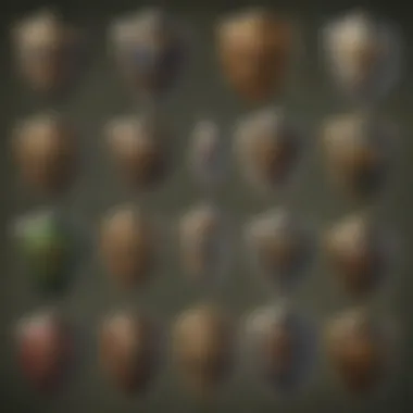 Evolution of Shield Varieties Shield Types Evolution