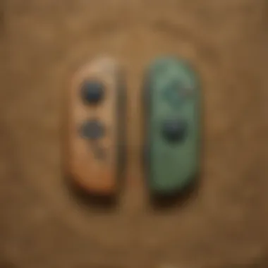 Detailed Features of Zelda Joy-Con