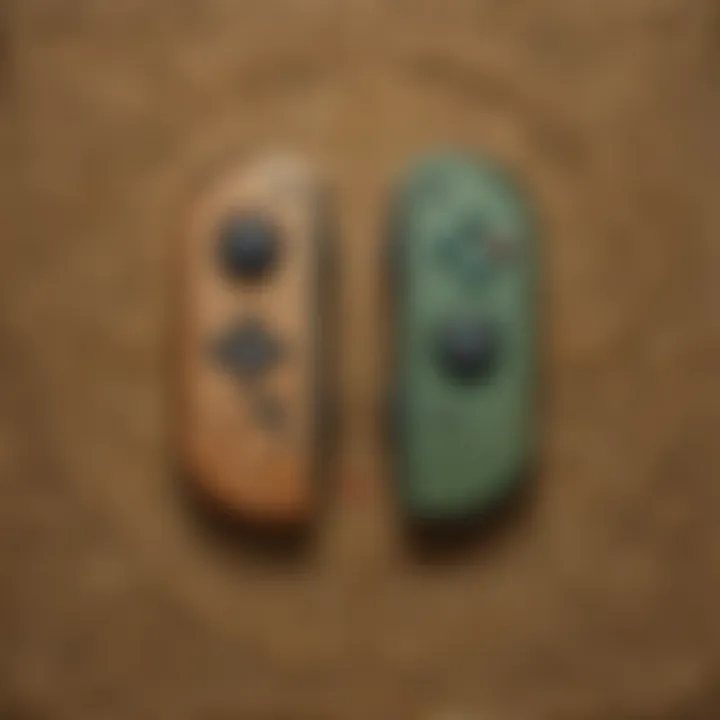 Detailed Features of Zelda Joy-Con